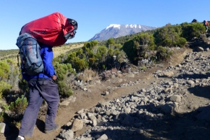 kilimanjaro-august-2013-sel-025