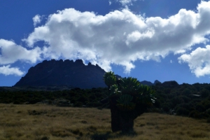 kilimanjaro-august-2013-sel-027